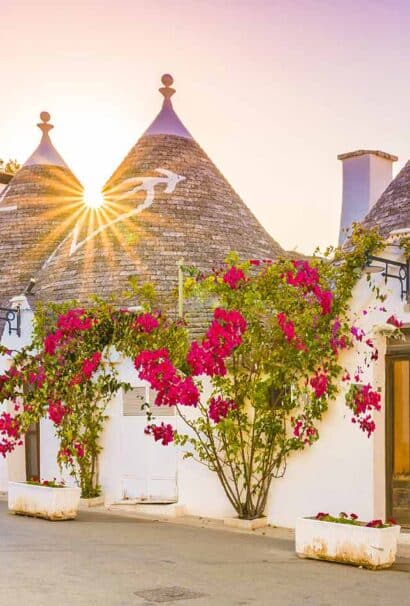 White huts with pink flowers in Apulia, Italy