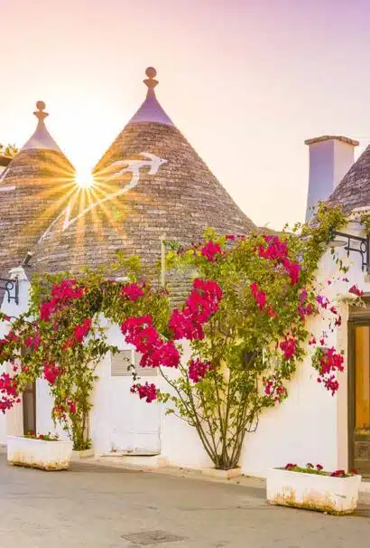 White huts with pink flowers in Apulia, Italy