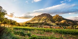 Wine region at sunset in Stellenbosch, South Africa