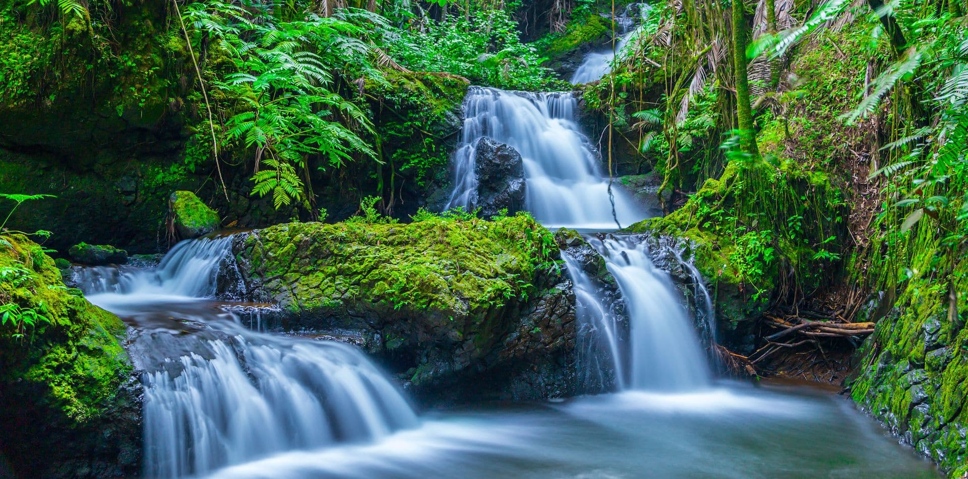 Onomea Falls at Hawaii Tropical Botanical Garden 