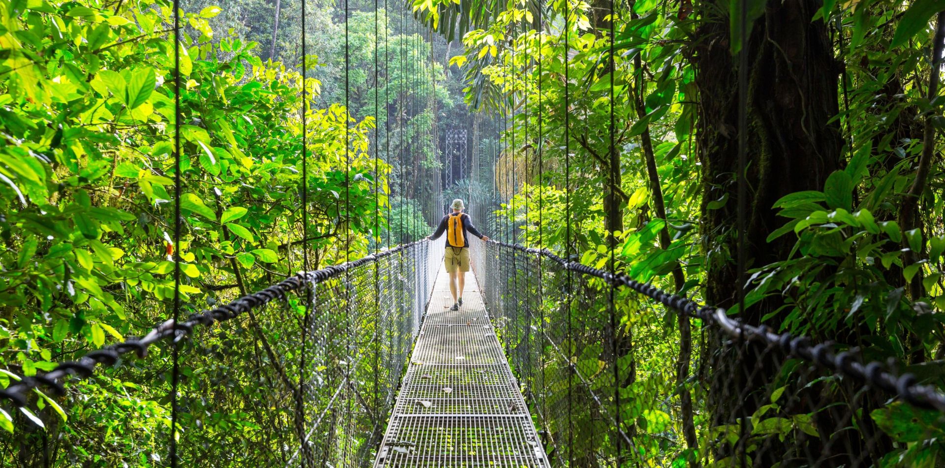 Walking along a hanging bridge in Costa Rica