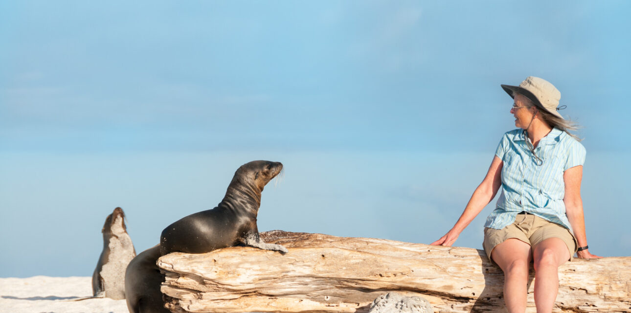 A woman looking at a seal.