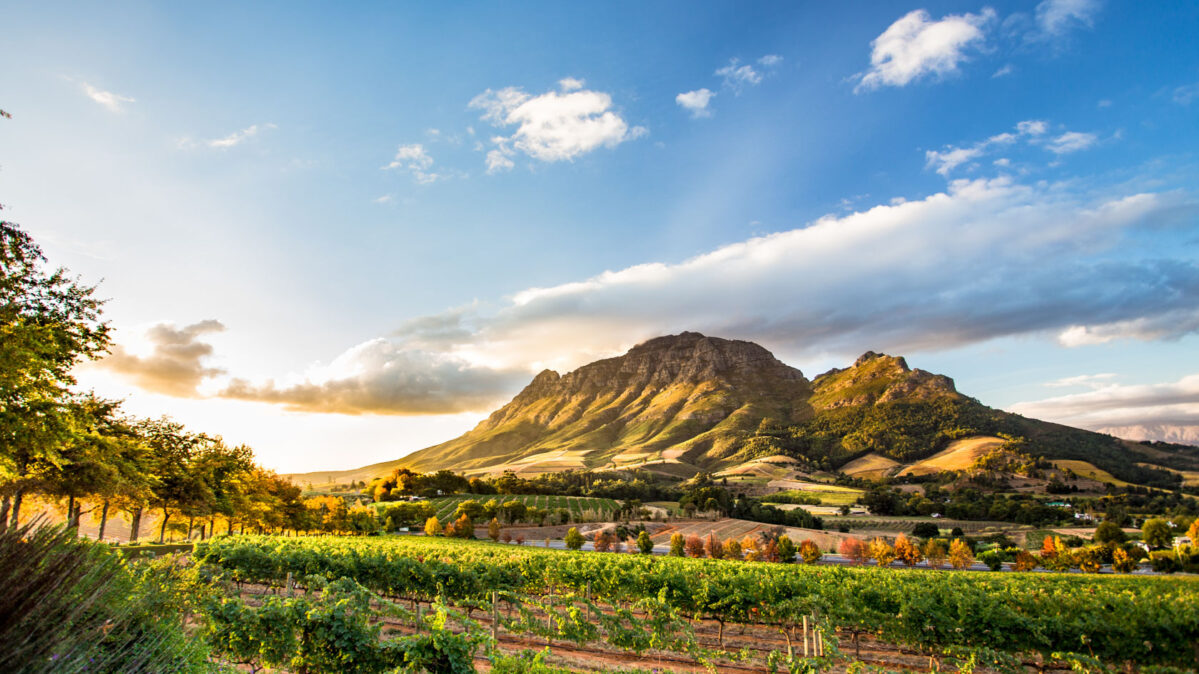 A mountainside in Africa.