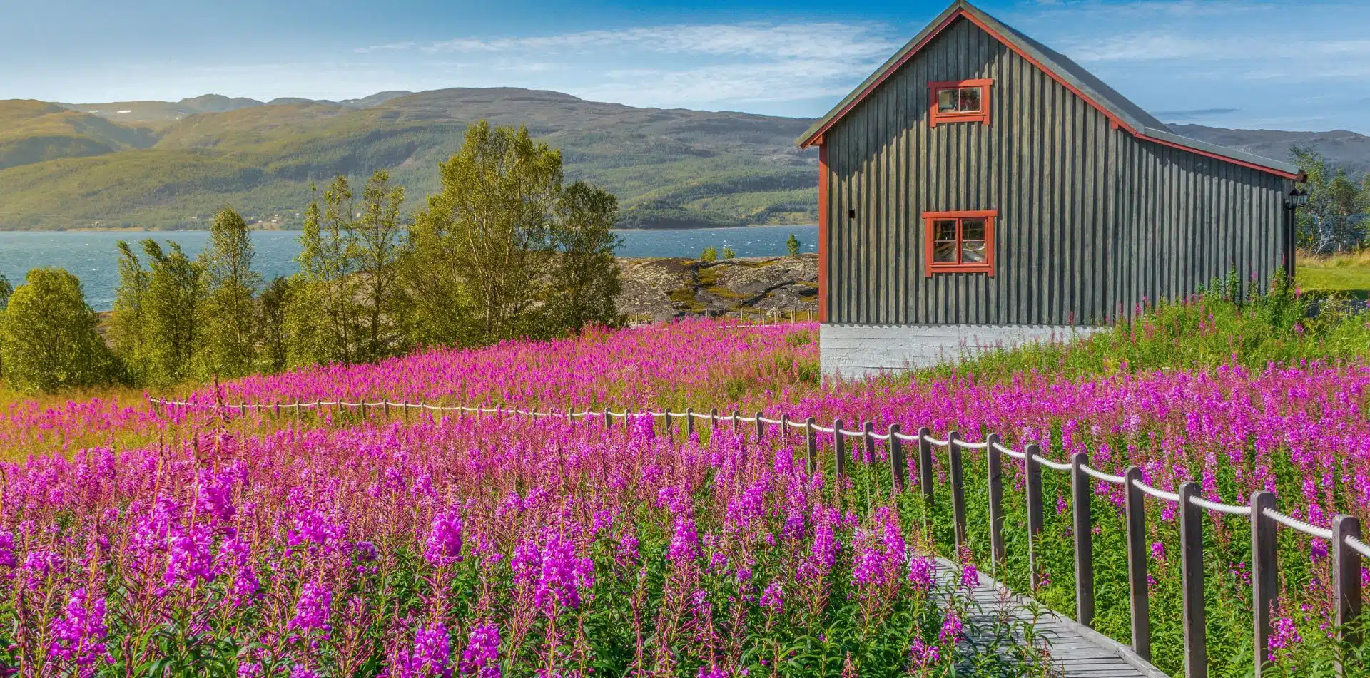 Scenic fields of Norway