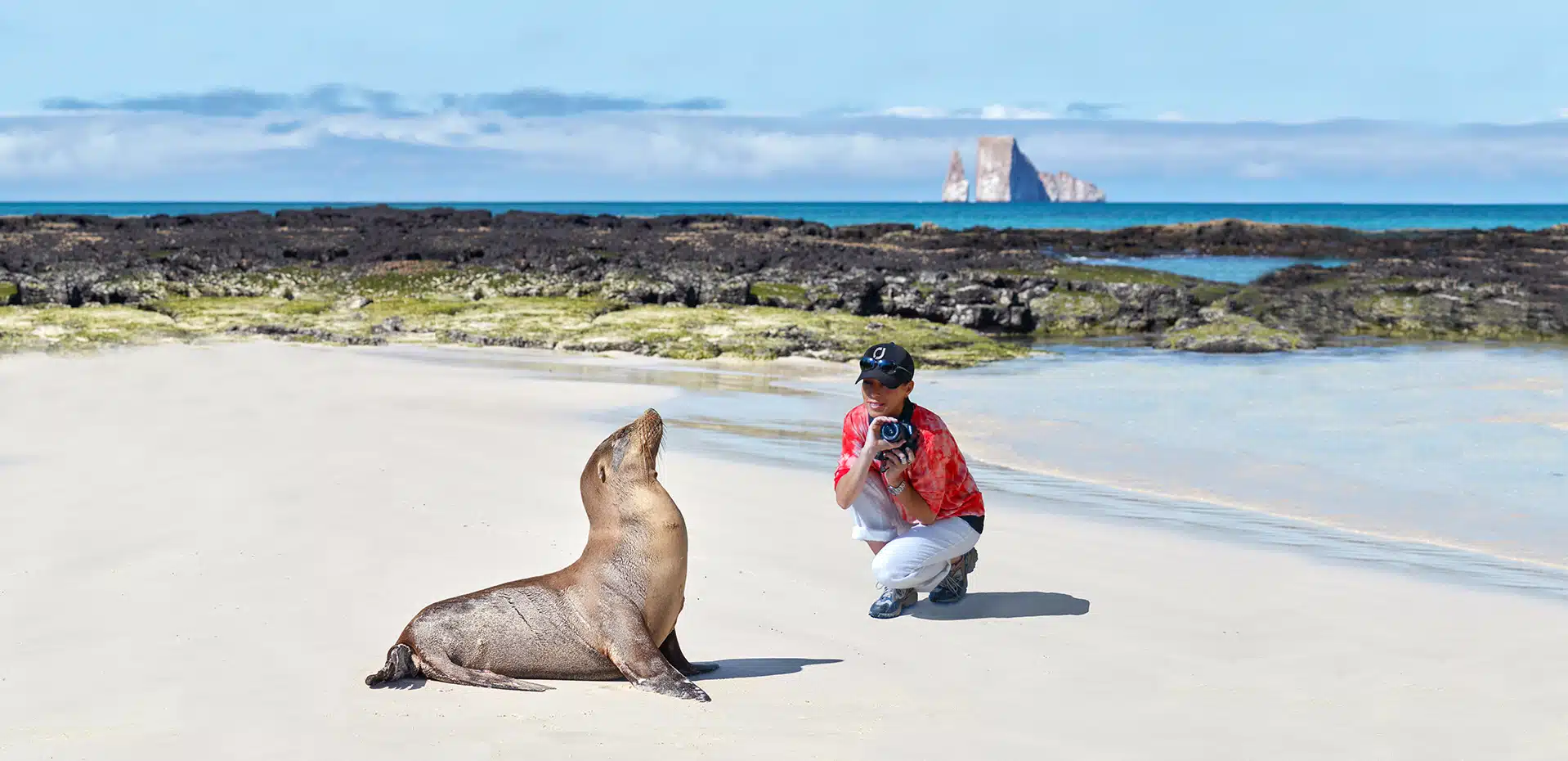 Get up-close to wildlife on our Galapagos Islands walking tour