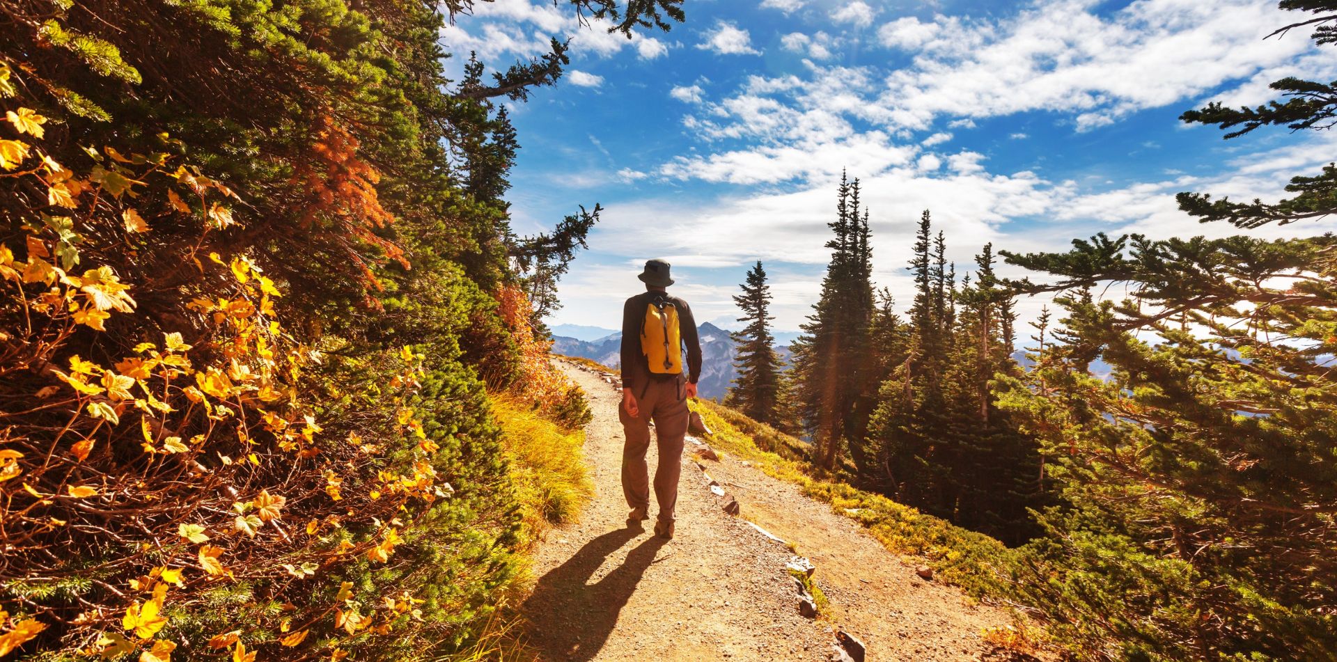 Traveler walking through Glacier National Park