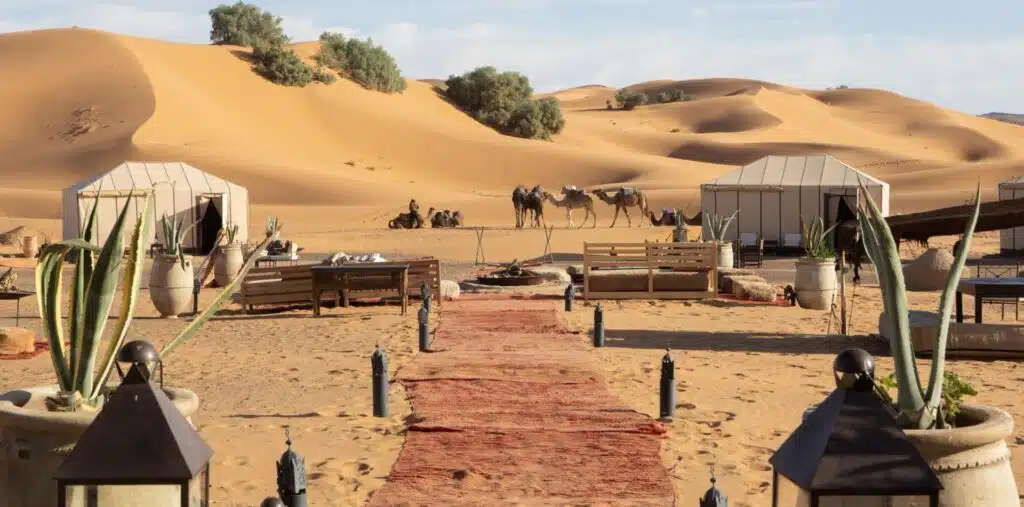 The front entrance to a Berber encampment, with Camels and sand dunes in the background