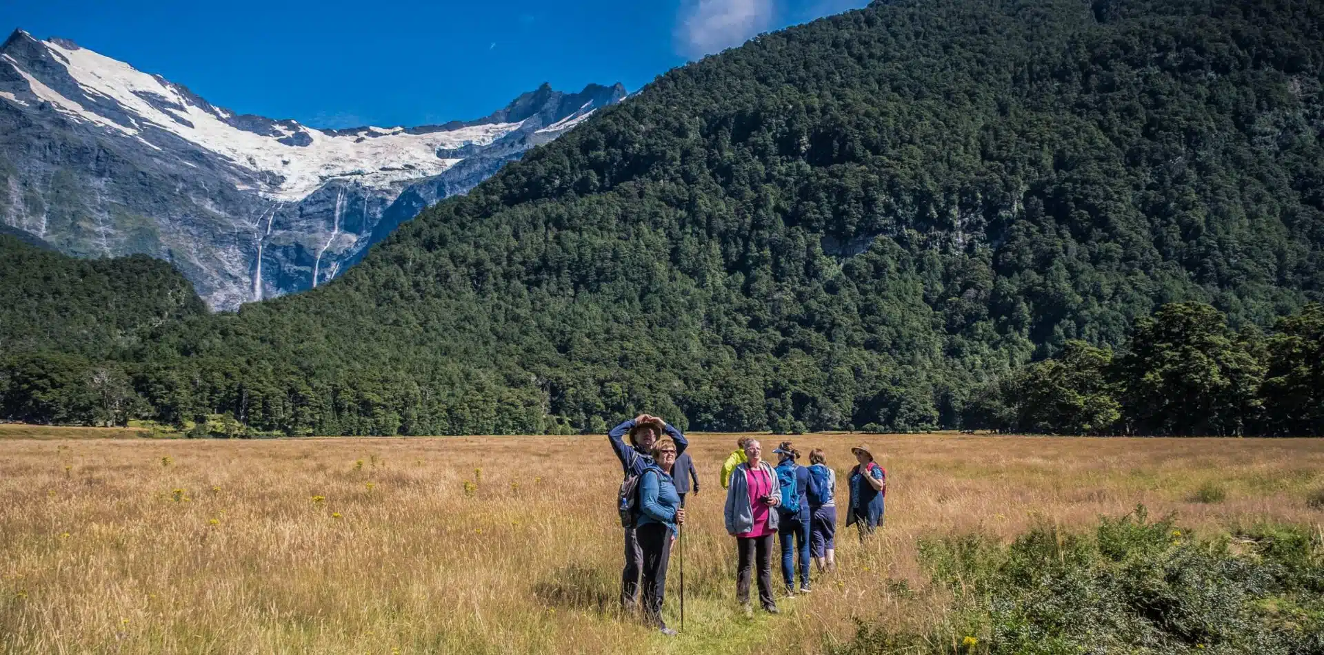 Travelers walking and admiring the views in New Zealand