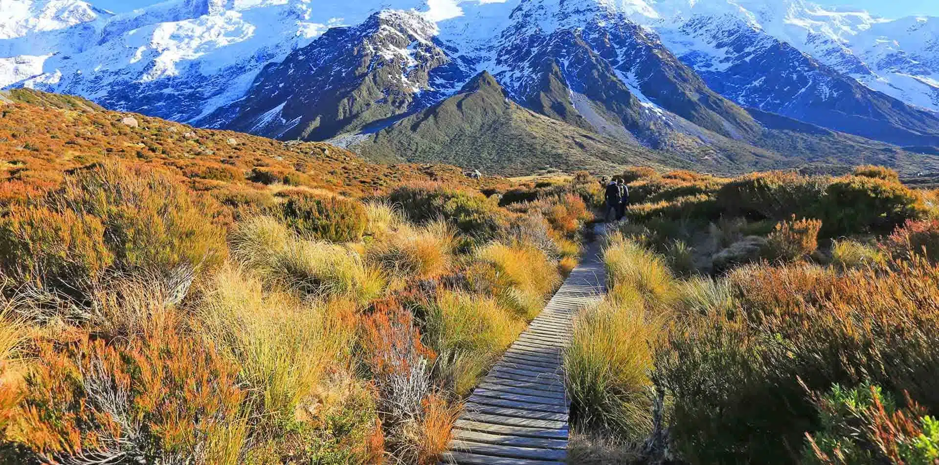 Explore New Zealand, on foot and at eye level