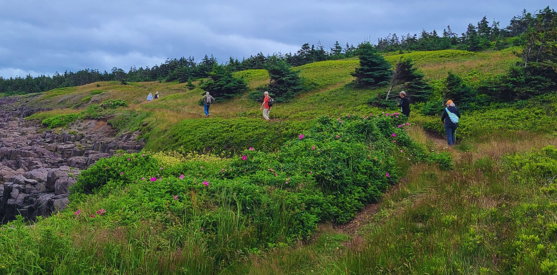Explore Nova Scotia, on foot and at eye level