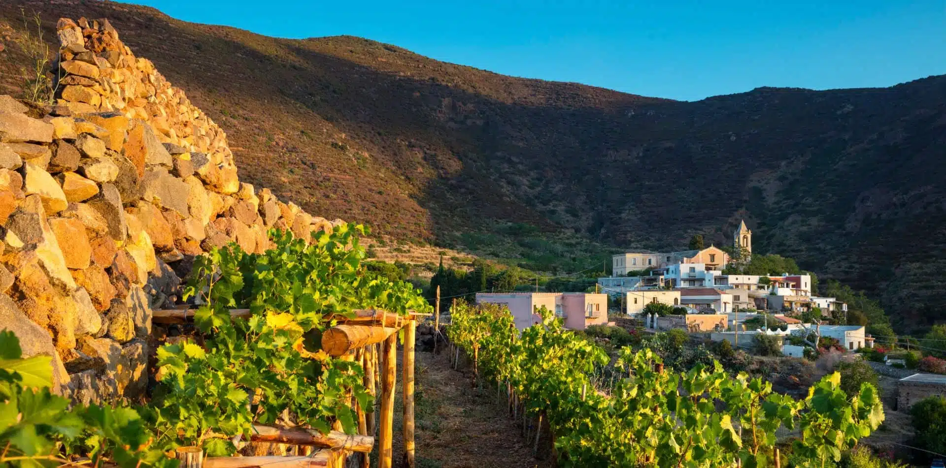 Stroll and sip your way through the Sicilian Vineyards