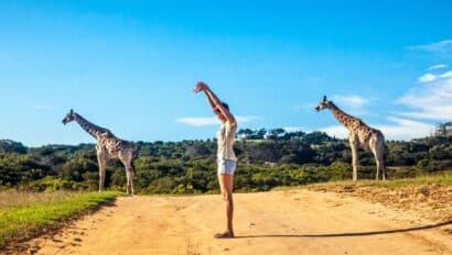 South Africa, woman on safari with giraffes