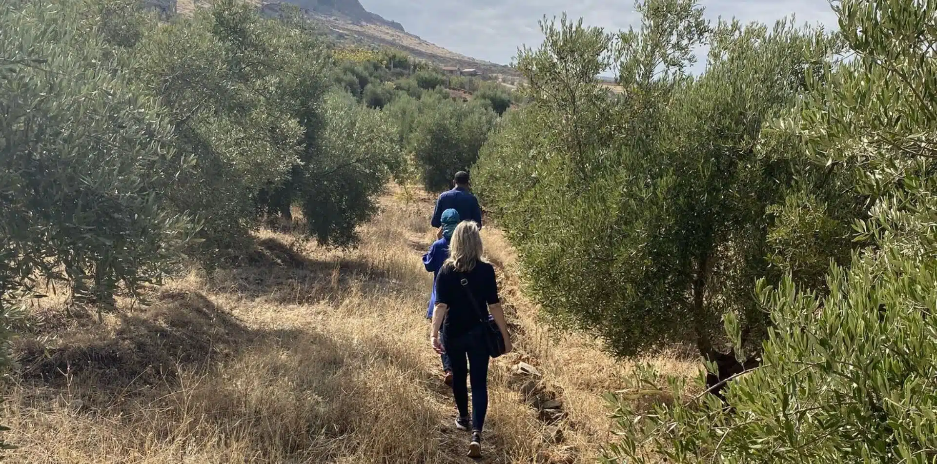 Walking through olive groves in Morocco