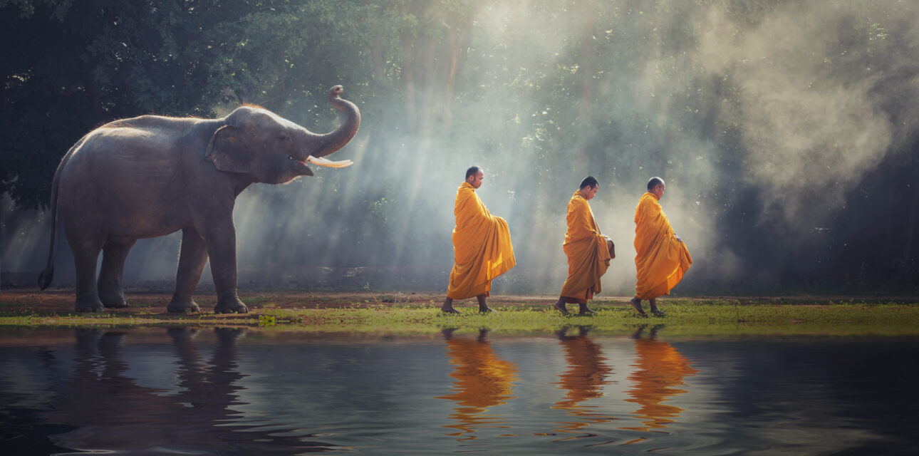 An elephant and monks in Asia.