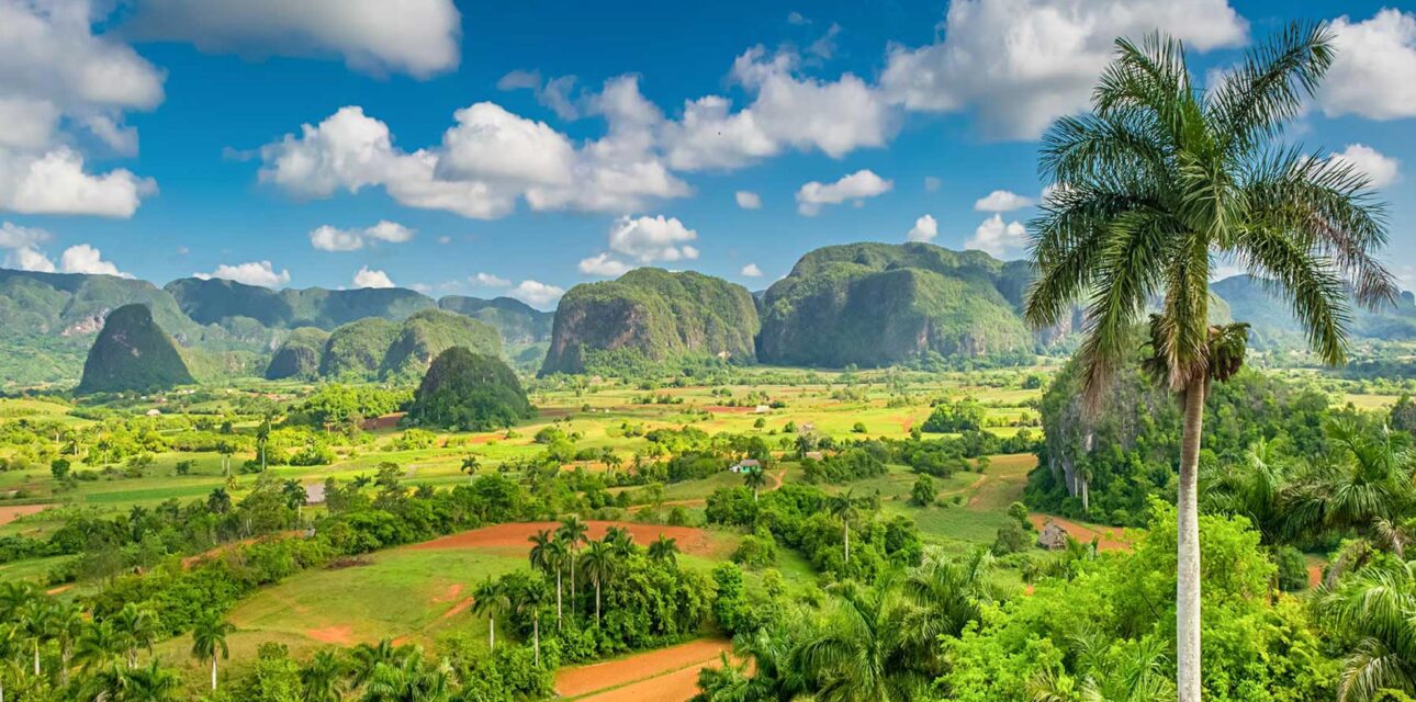 A green hillside in Cuba.