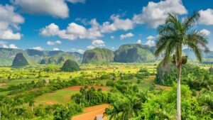 A green hillside in Cuba.