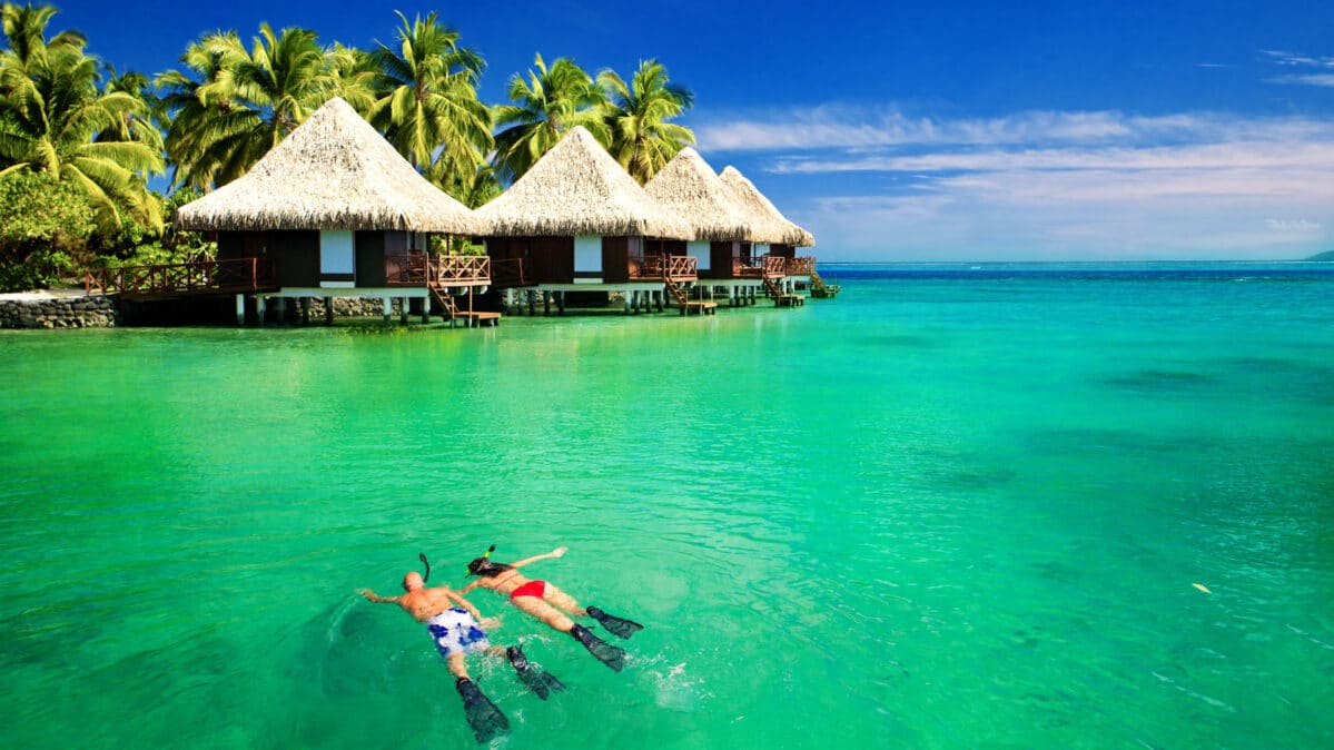 A couple snorkeling in paradise