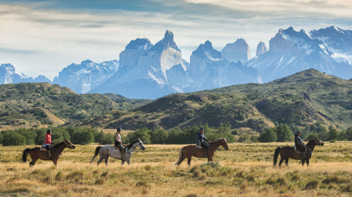 Horses walking by a mountain in Chile.