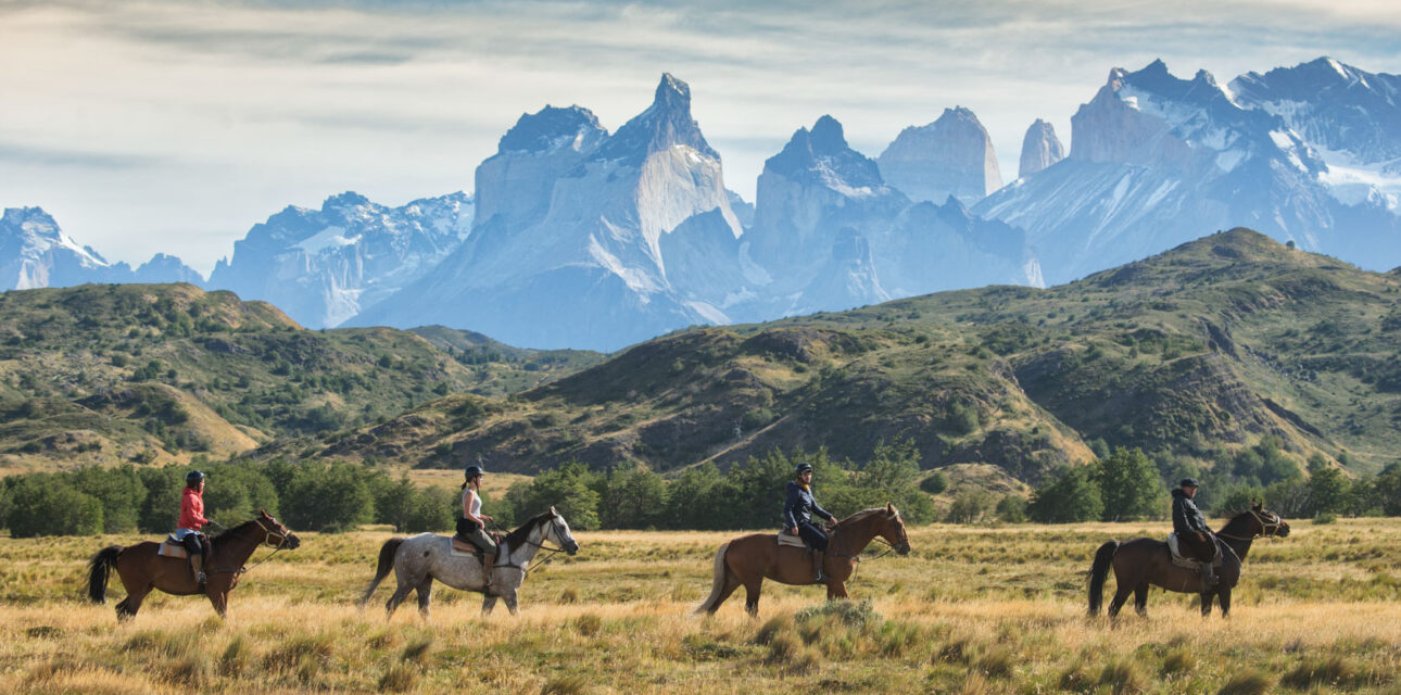 Horses walking by a mountain in Chile.