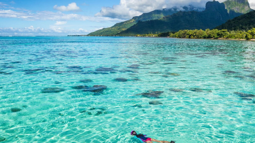 Snorkeler swimming in clear turquoise water along a mountainous coastline