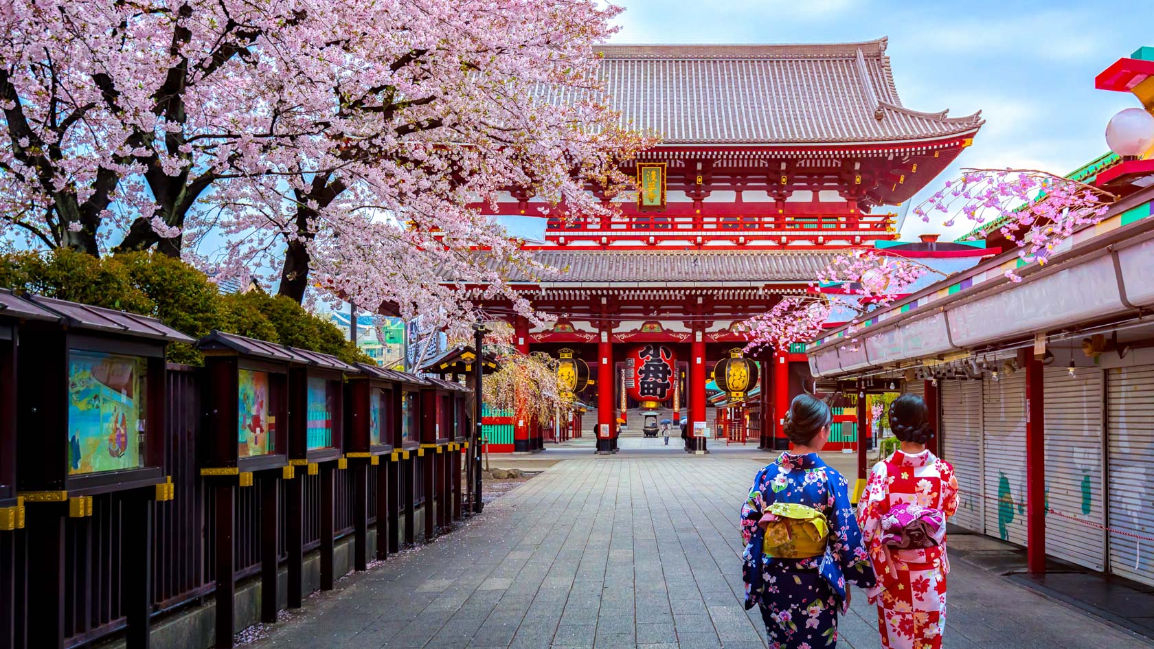 People walking next to Cherry Blossoms in Japan