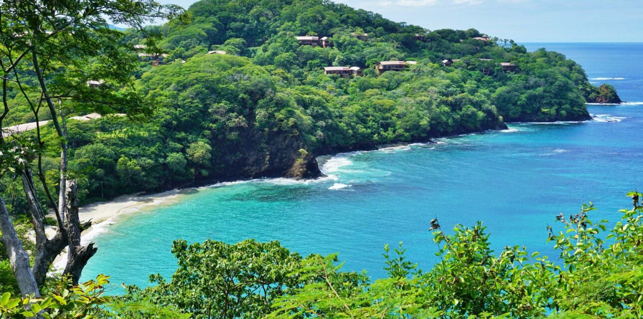 Jungle in Costa Rica.