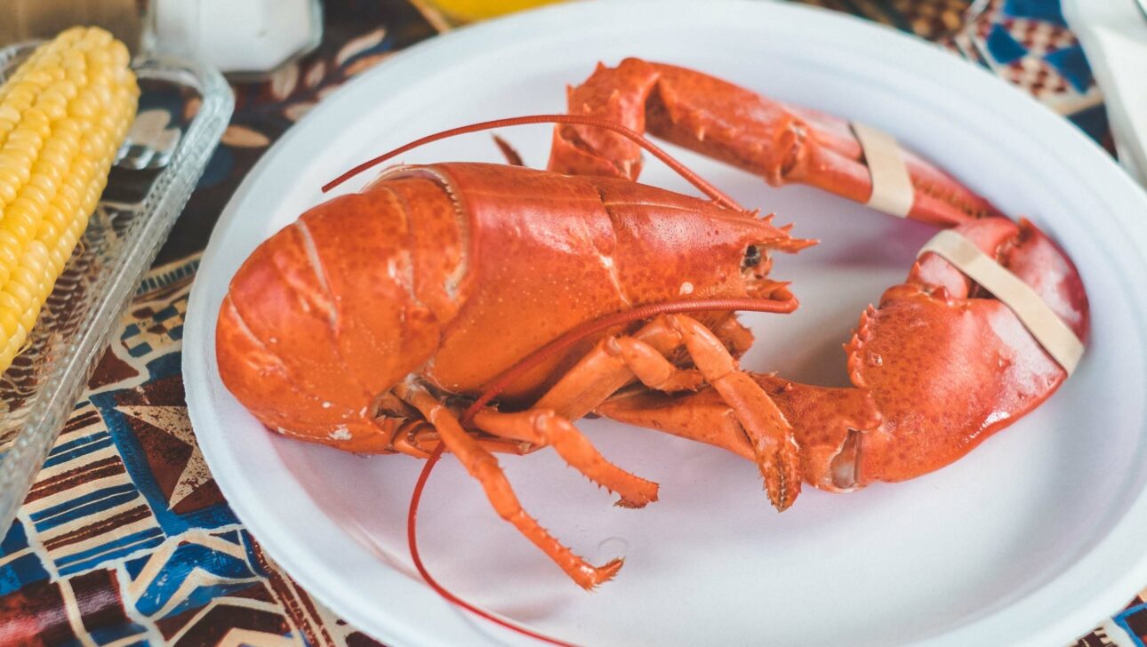 A red lobster on a plate.