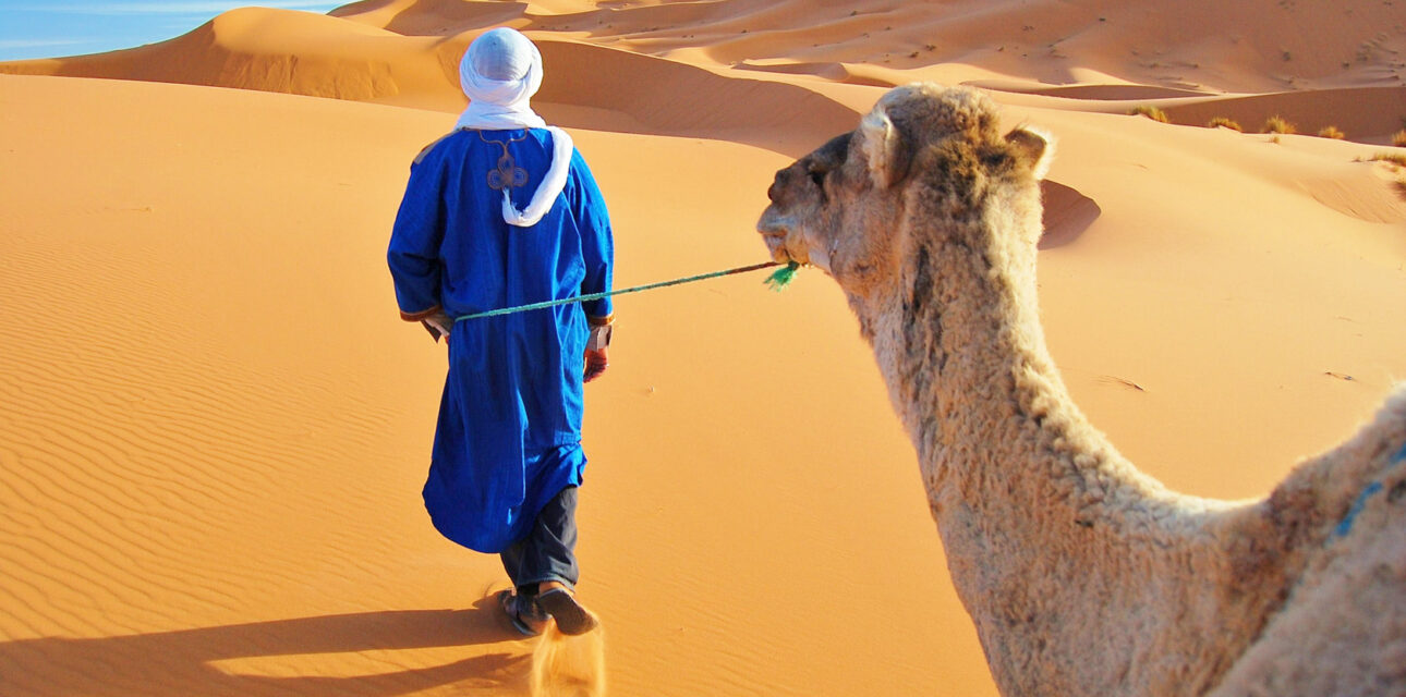 People walking with a camel in Morocco