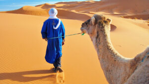 People walking with a camel in Morocco