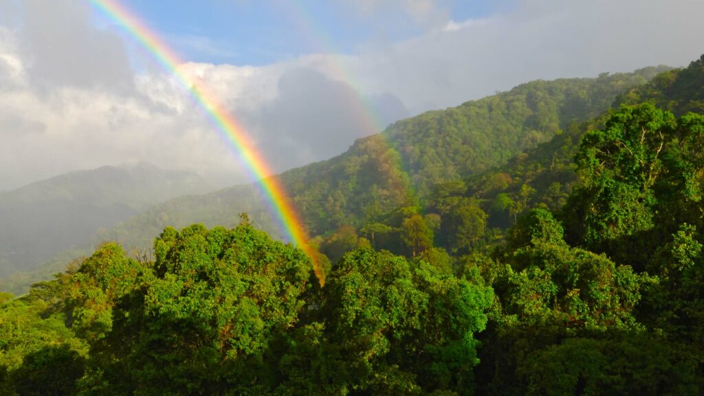 A rainbow over the forests in Panama.