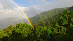 A rainbow over the forests in Panama.