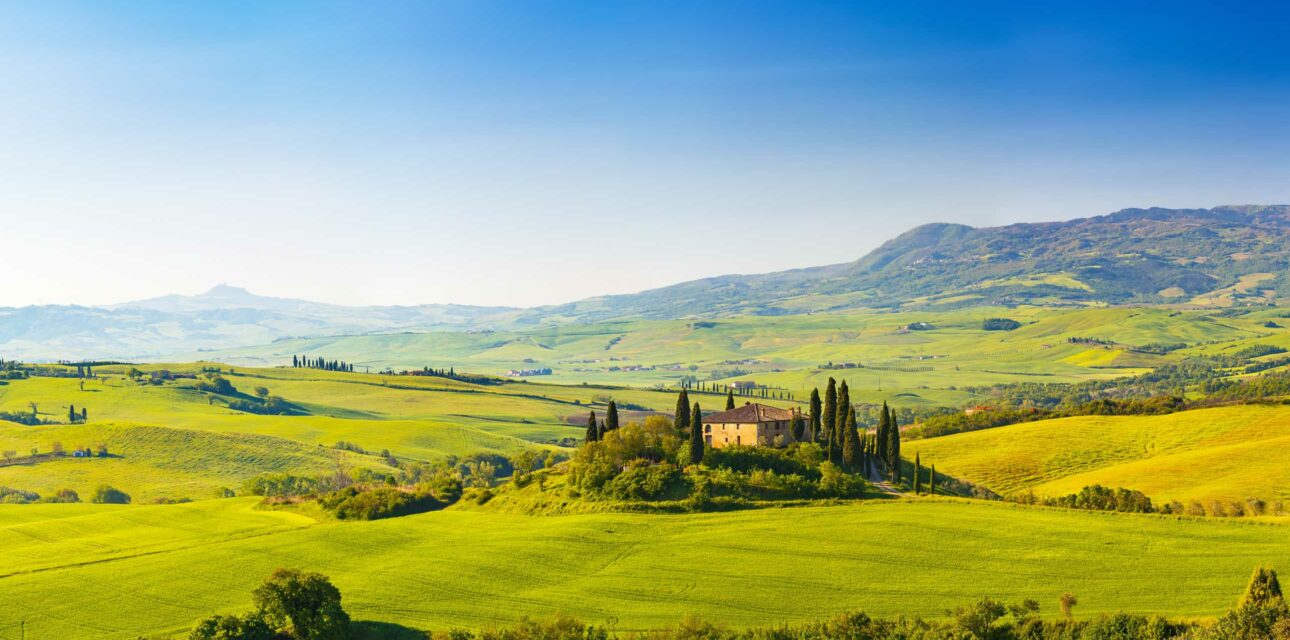 A European green landscape.