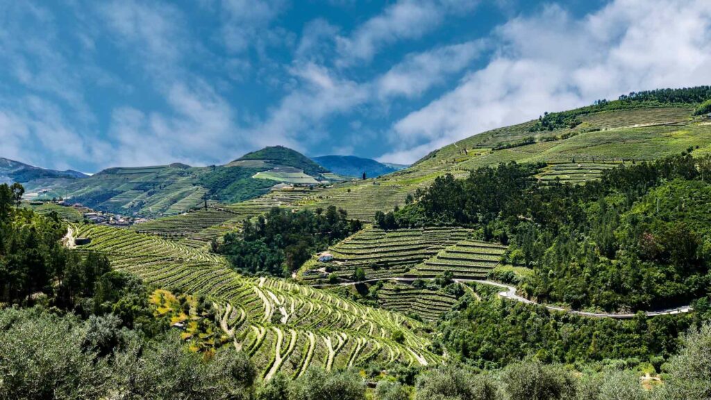 A green hill landscape in Portugal.