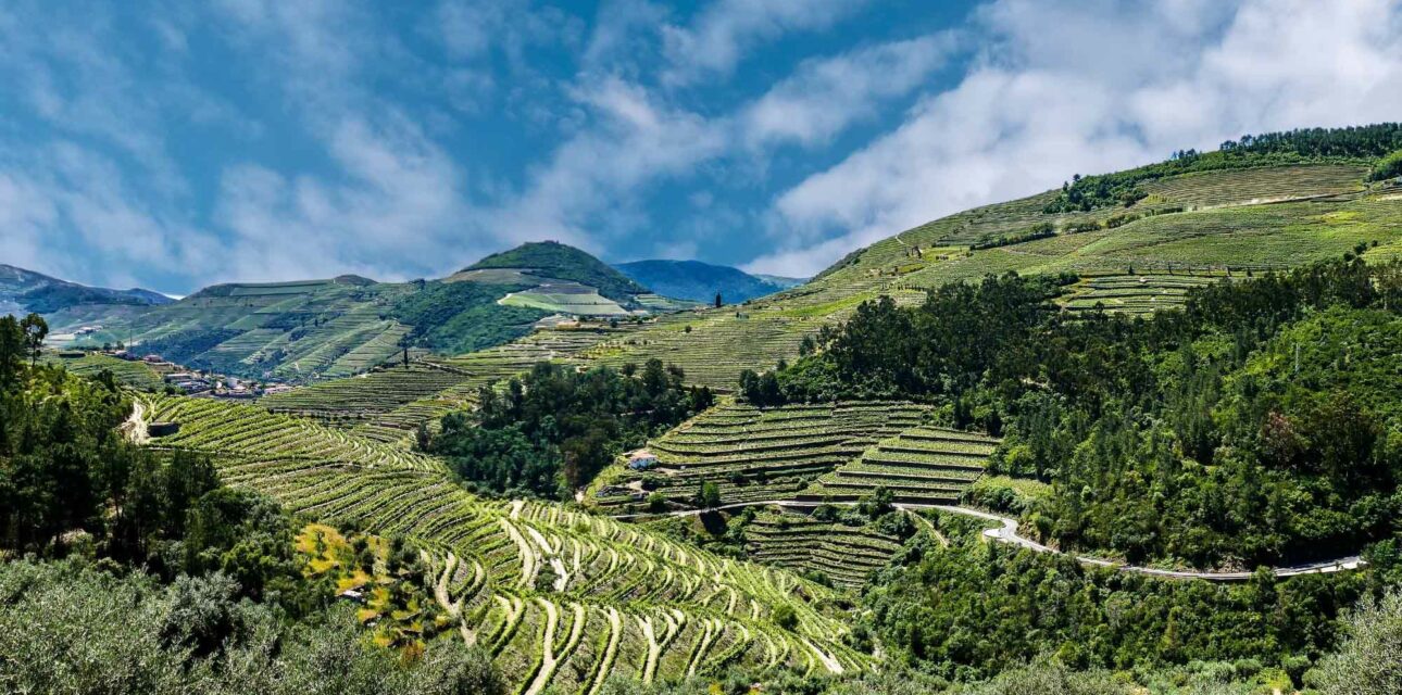 A green hill landscape in Portugal.