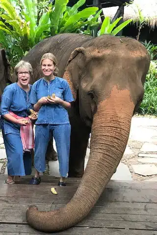 Two women posing with an Elephant.