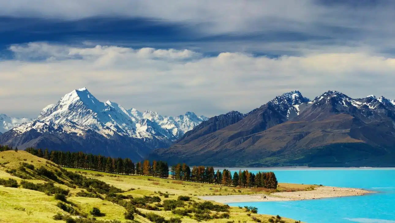 New Zealand Backgrounds for Your Next Zoom Meeting