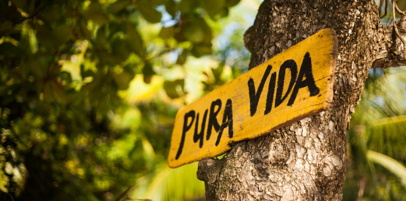 Jungle in costa rica.