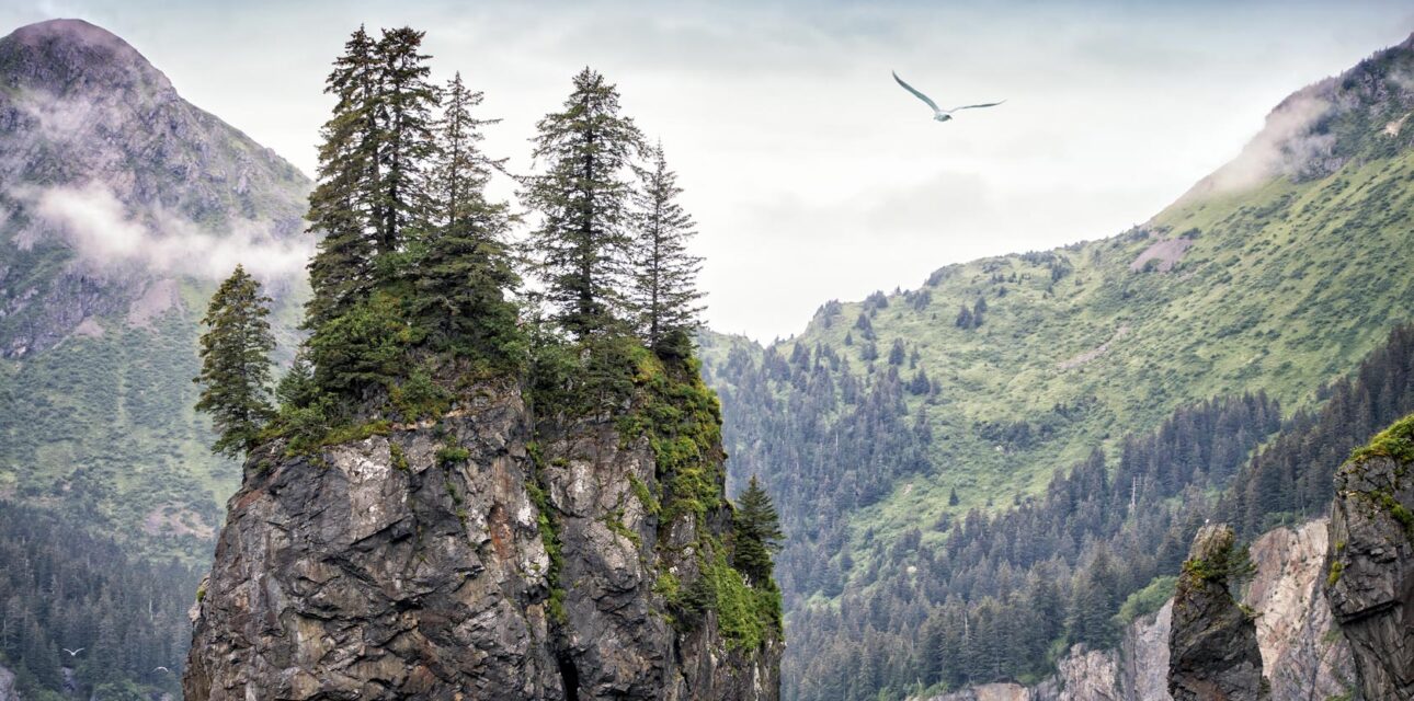 A cliff in USA.