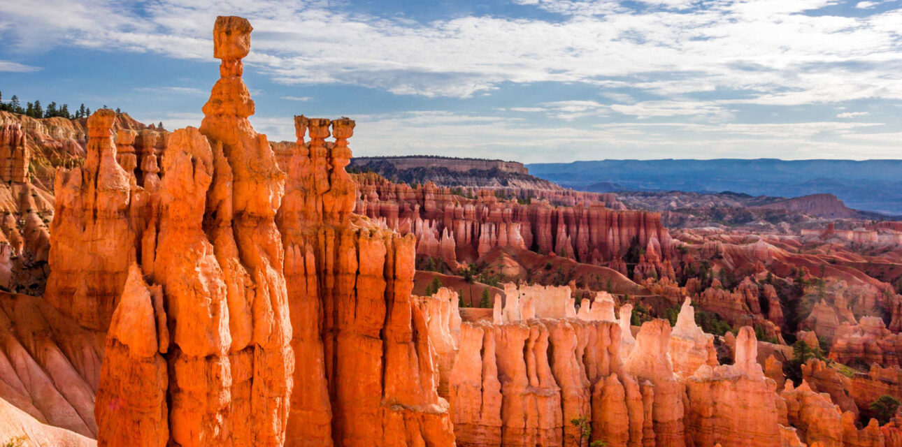 The grand canyon in USA.