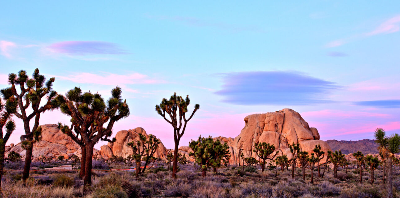 A canyon at sunset.