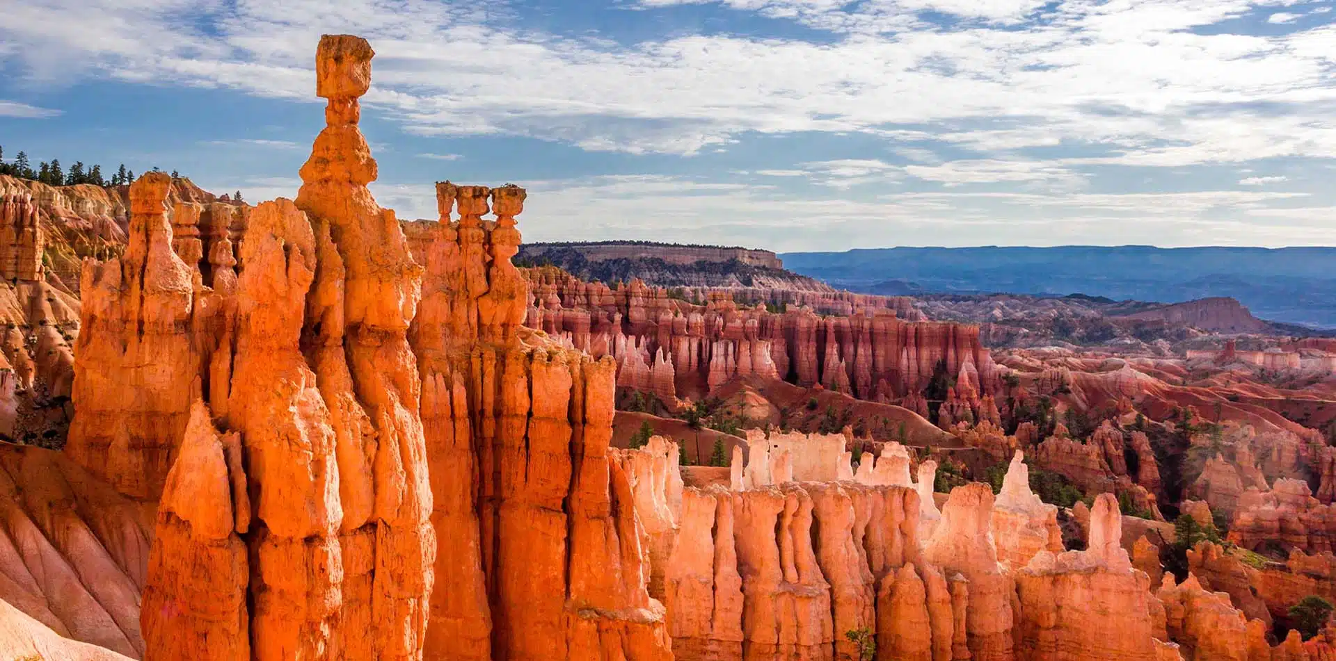 Grand canyon walking tour top