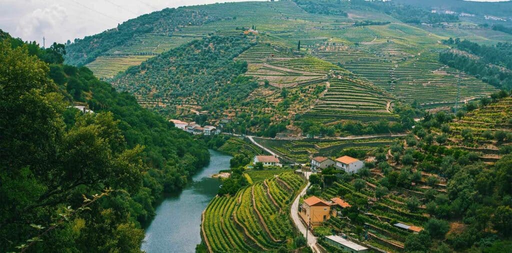 Scenic rolling hills and vineyards Douro Valley, Portugal 