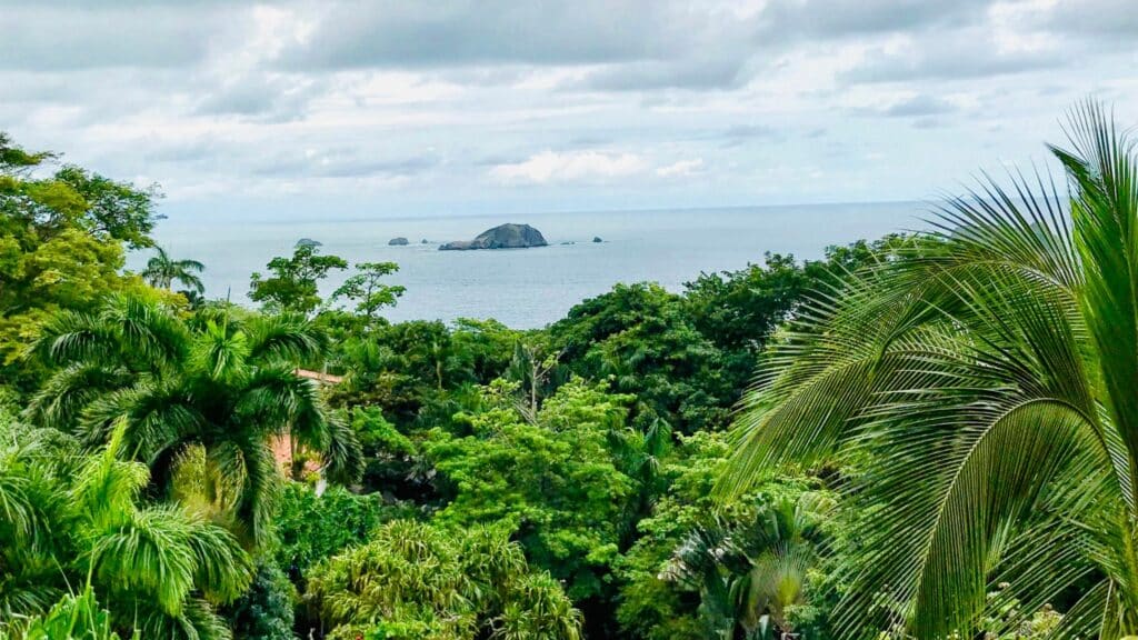 Beautiful flora along the coast of Costa Rica