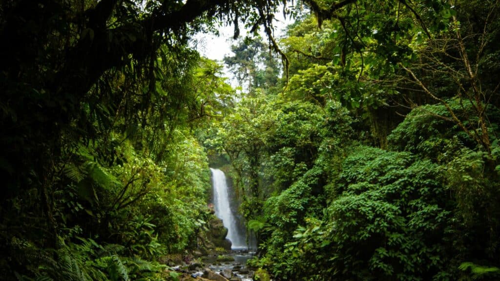 The beautiful La Paz Waterfall Gardens in Costa Rica