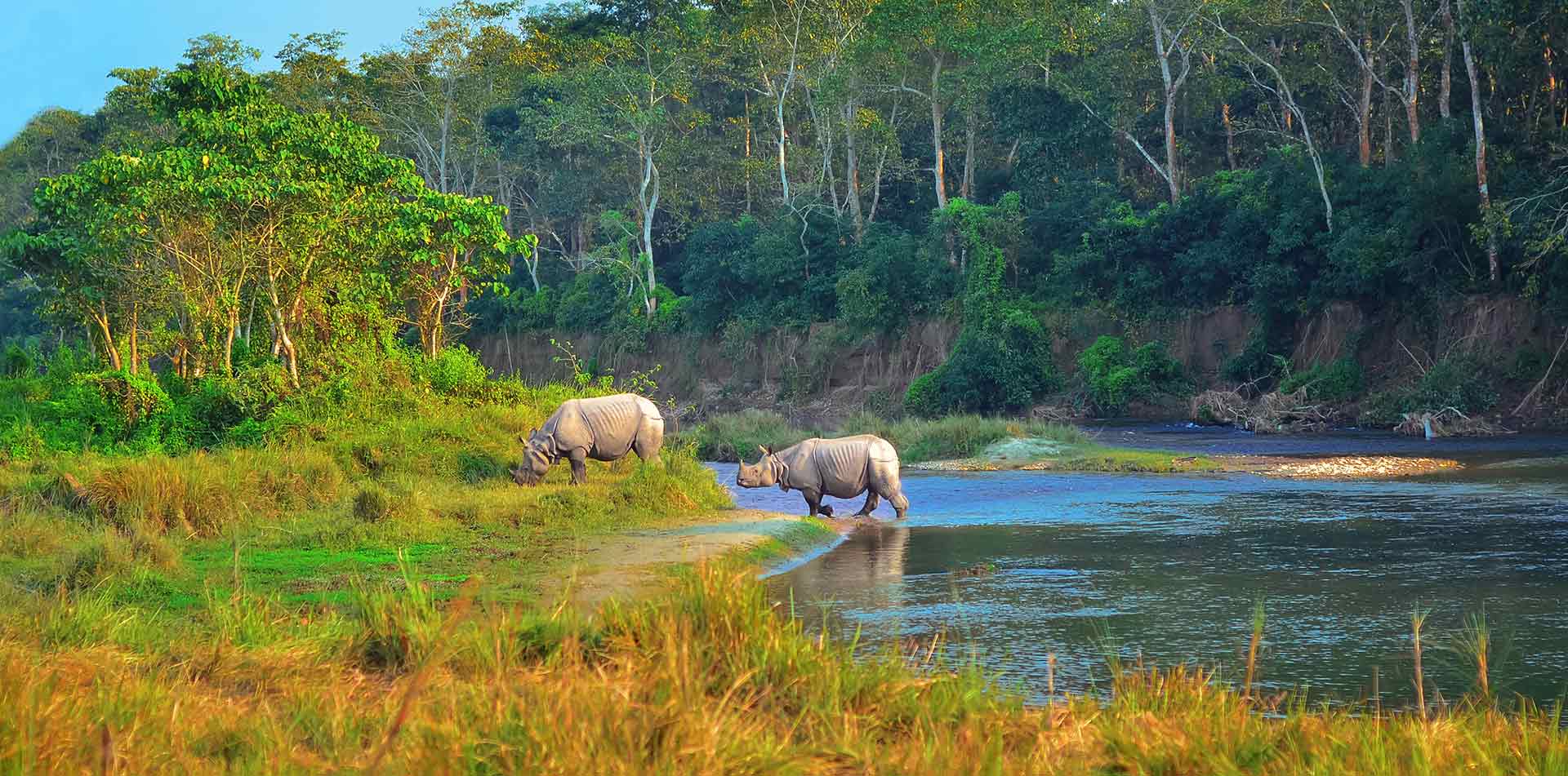 Wild landscape