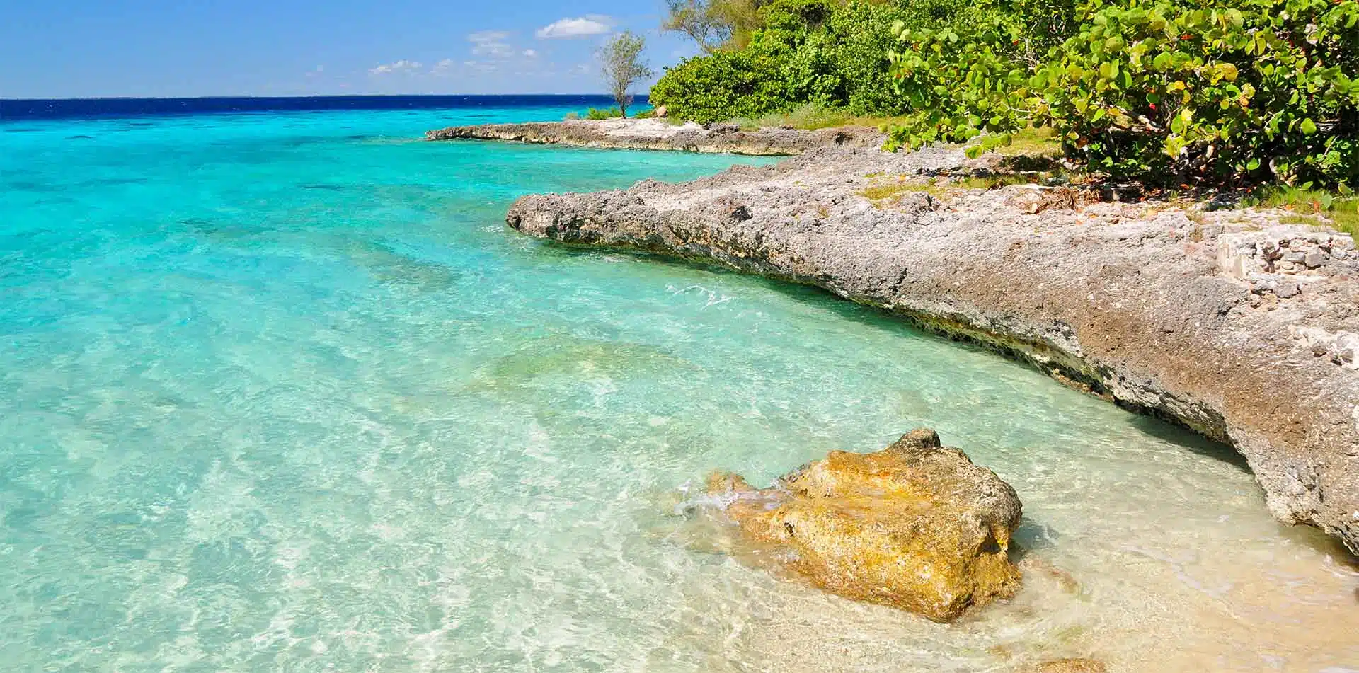 The Bay of Pigs