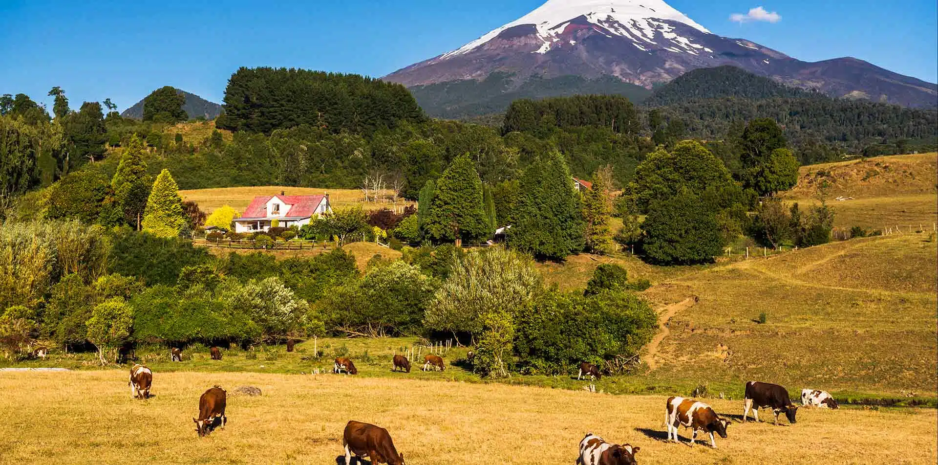 Osorno Volcano and farm land