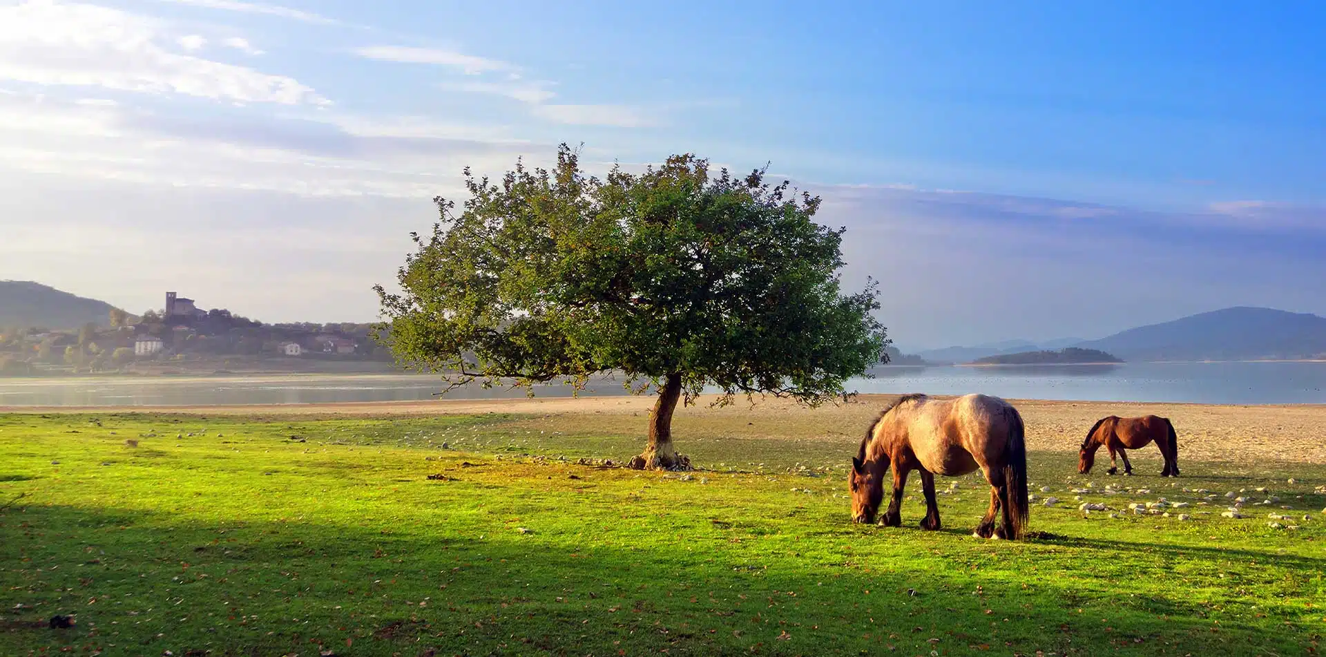 Horses near Nanclares de Gamboa, Basque Pyrenees, Spain & France