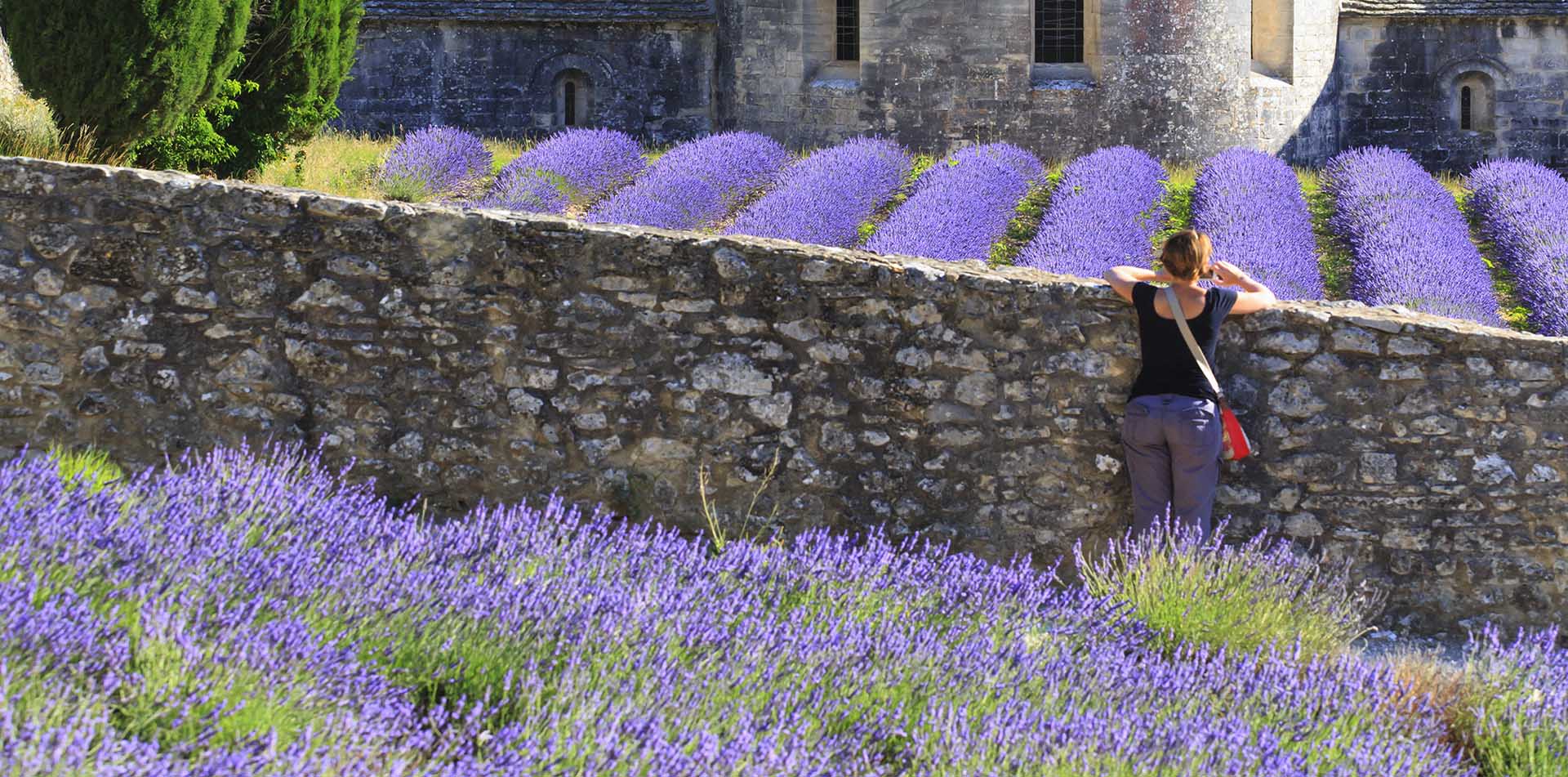 Women at Senanque Abbey, Provence