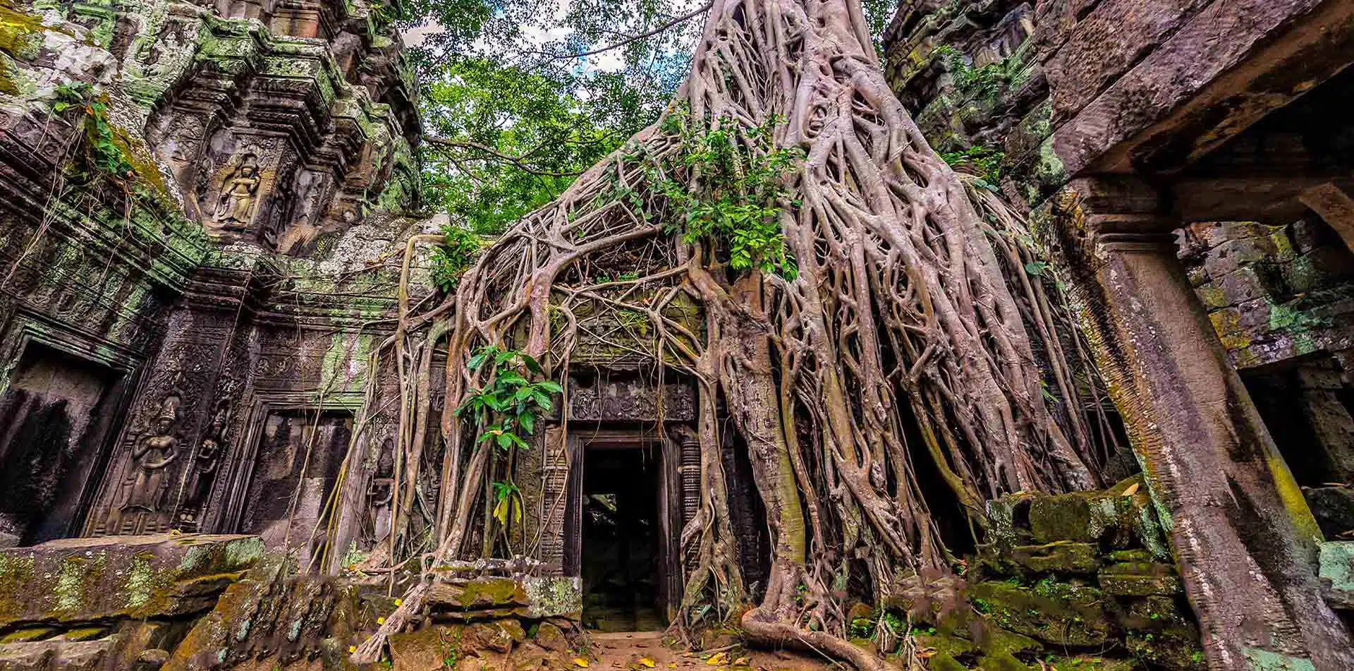 Ta Prohm, Vietnam